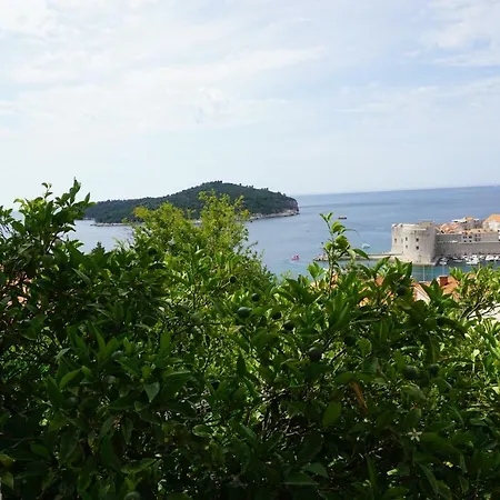 아파트먼트 피규린