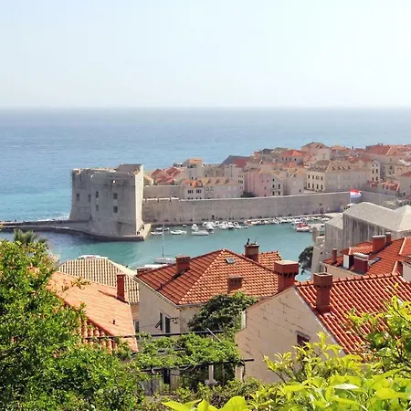 아파트먼트 피규린